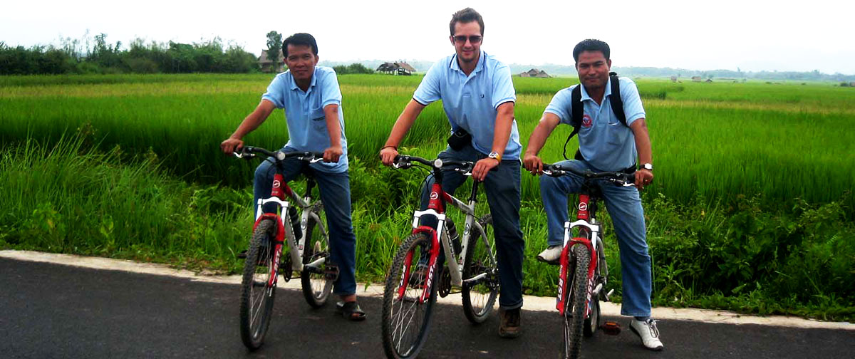 Cycling along the rice field