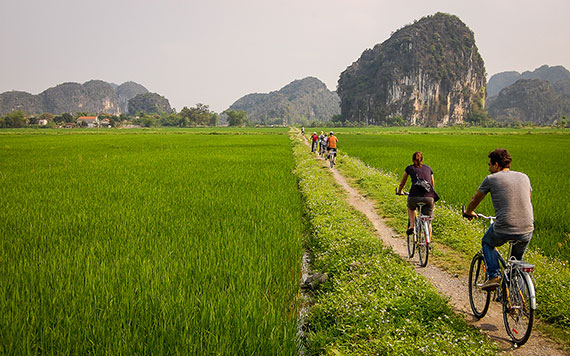 Biking Tour In Ninh Binh