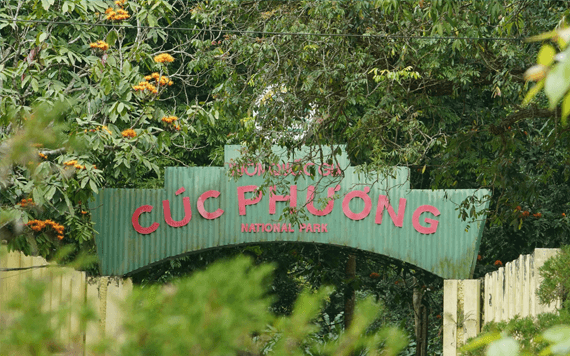 Full Day Cuc Phuong National Park  With Lunch