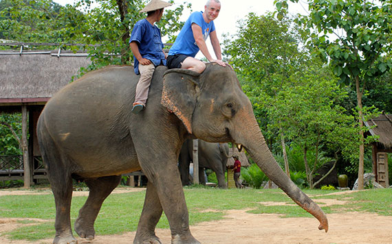 Luang Prabang – Elephant Riding - Full Day Itinerary