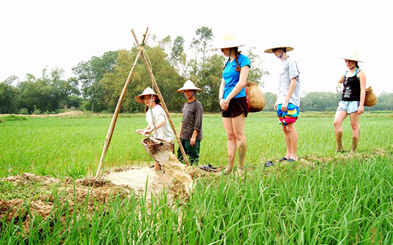 Real Experience To Become A Farmer At Vietnam Countryside