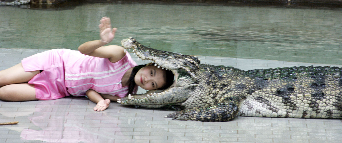 Bangkok Full Day Crocodile Farm And Ancient City