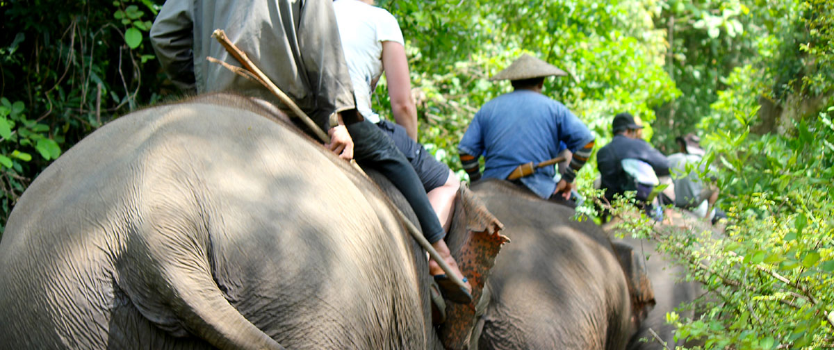 Luang Prabang – Elephant Riding - Full Day Itinerary