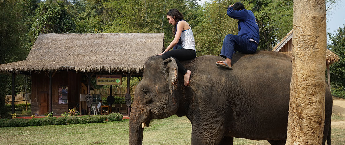 Luang Prabang – Elephant Village – City Tour