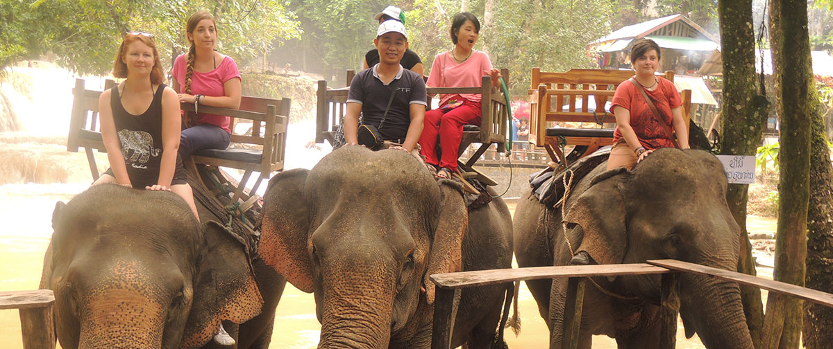 Luang Prabang – Elephant Village – Kuang Si Waterfalls